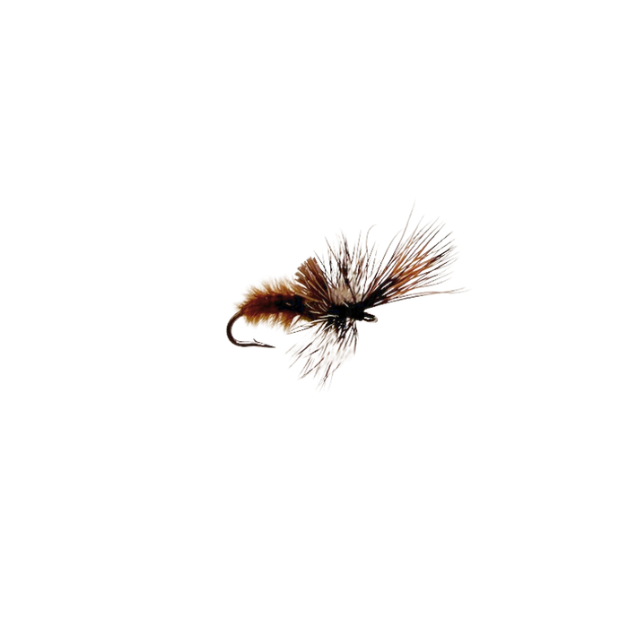 Andy's Cripple - BWO - SALE