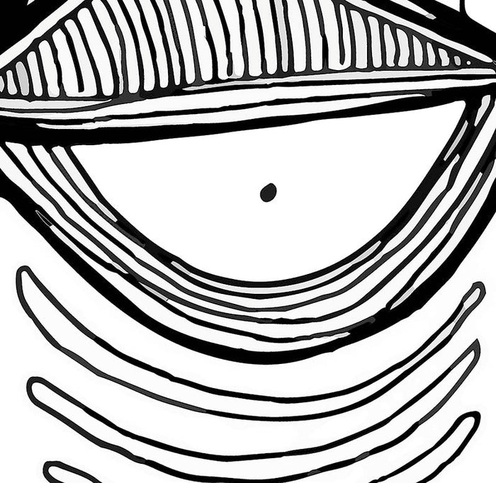 Abstract Black and White Curtain 'EYE' — detail view