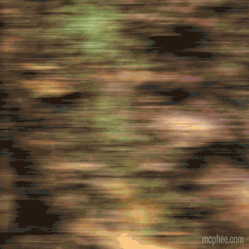 The Bigfoot Action Figure races through the forest, evoking the iconic Patterson film footage, with an added touch of dynamic motion blur for effect.