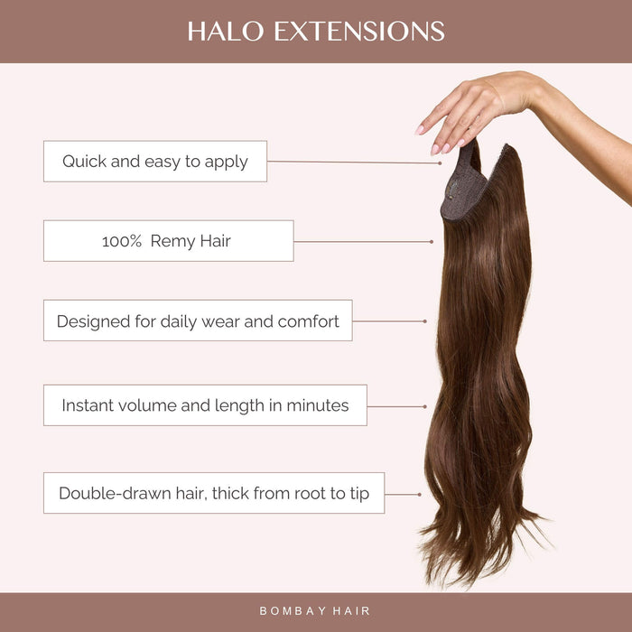 Ombre - Cool Brown To Dirty Blonde (T6/20) Halo