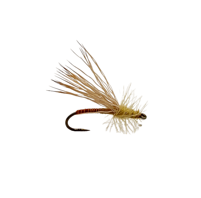 Quill Body Yellow Sally - SALE