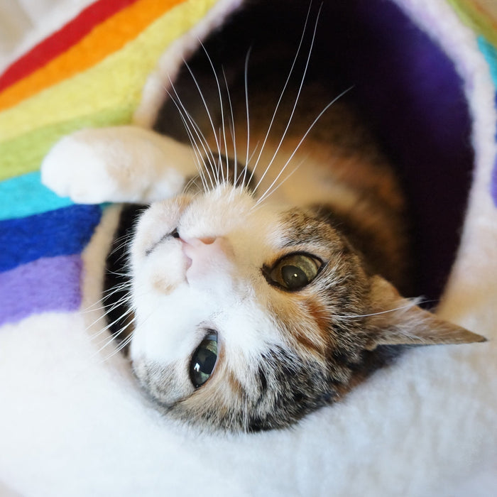 Friendsheep Rainbow Eco Kitty Cave