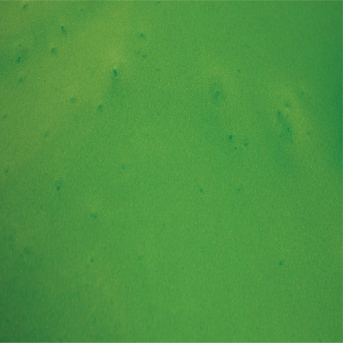 Apple Green / 14 oz Can