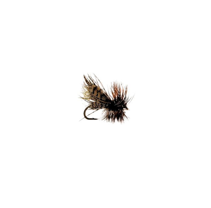 Spent Partridge Caddis - SALE