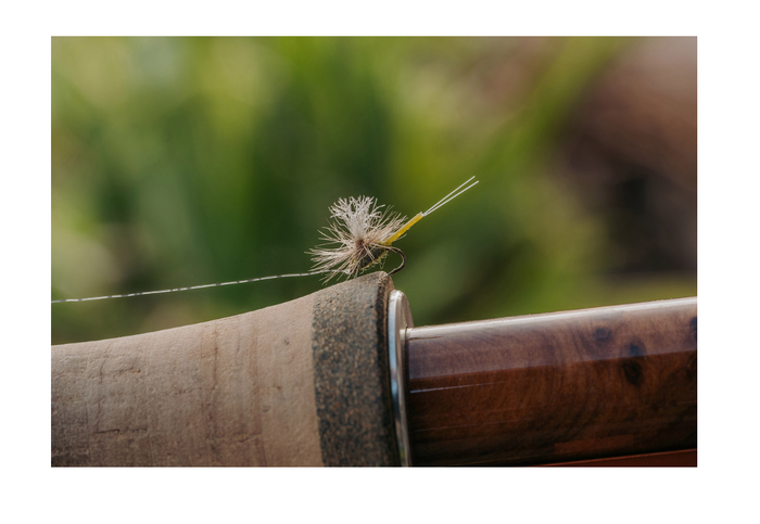 Umpqua Stratos Tippet - 30 yds