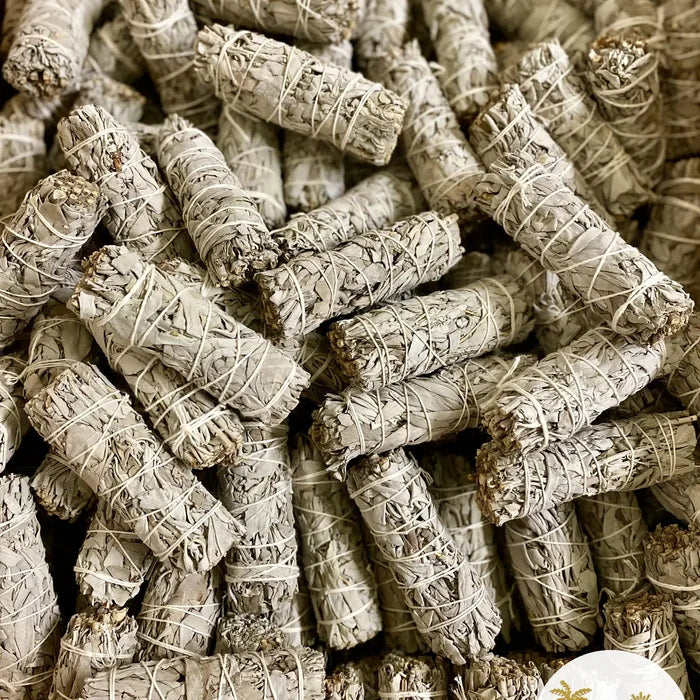 White Sage