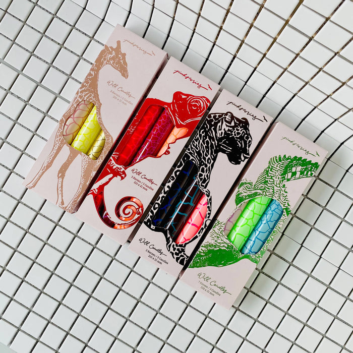 Wild Candles * Cameleon